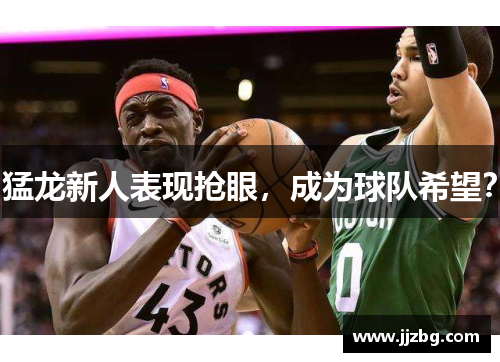 猛龙新人表现抢眼，成为球队希望？